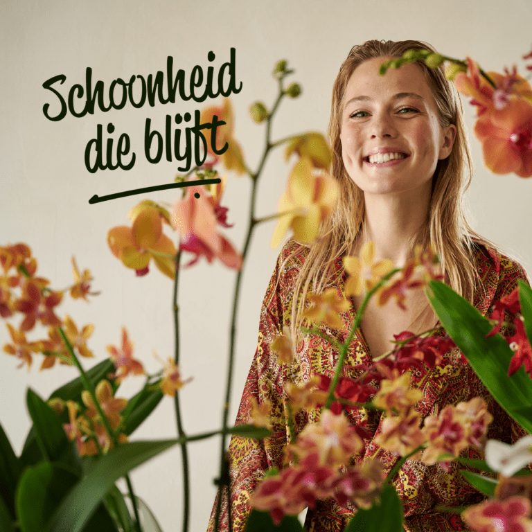 Schoonheid die blijft